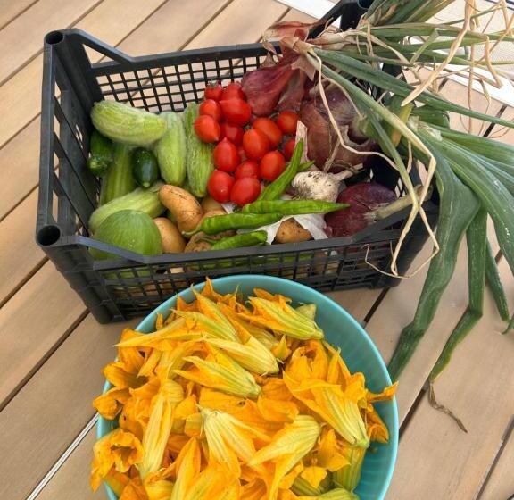 צימר Il Trullo Di Simona