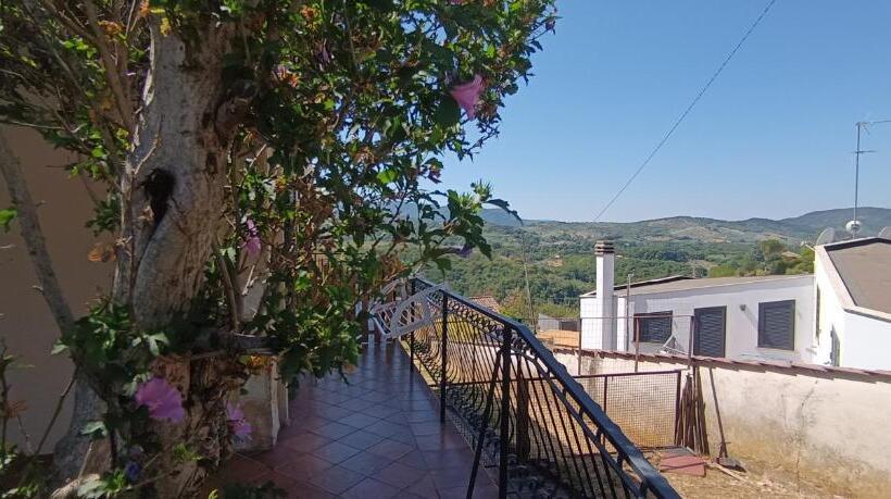 ベッドアンドブレックファースト Moon Ash   Cenere Di Luna