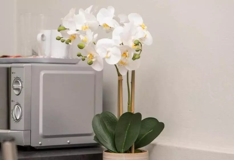 Majatalo Barkly Street Guesthouse