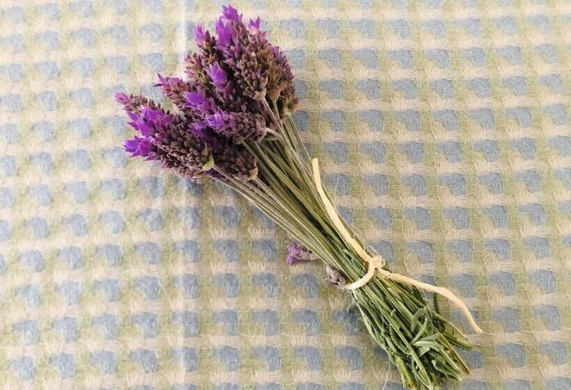 بنسيون Casa Prana