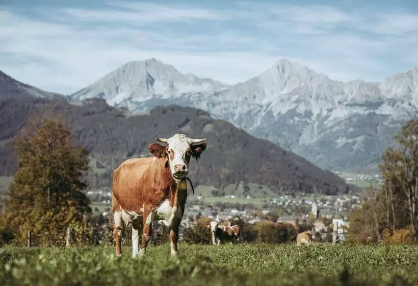 Xeis Natur Apartments