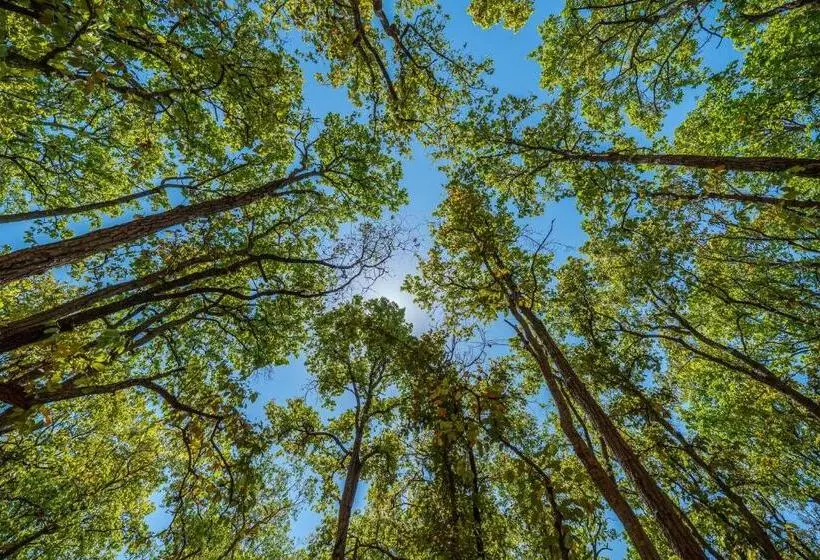 Hotelli The Riverwood Forest Retreat  Kanha