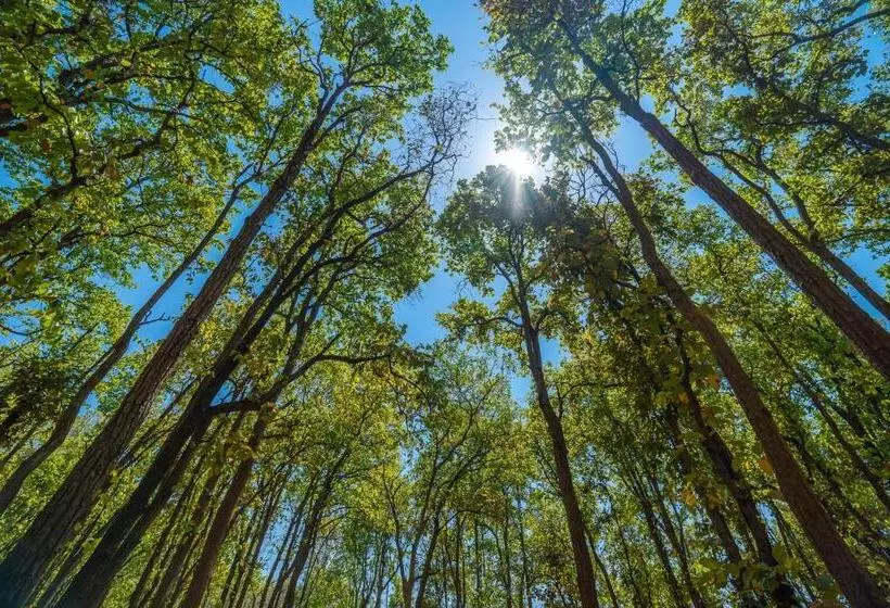 Hotelli The Riverwood Forest Retreat  Kanha