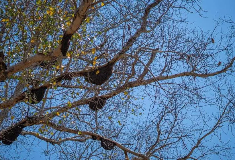 Hotelli The Riverwood Forest Retreat  Kanha