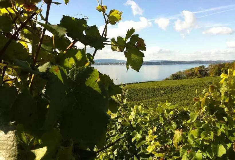 Hotelli Alte Post Meersburg