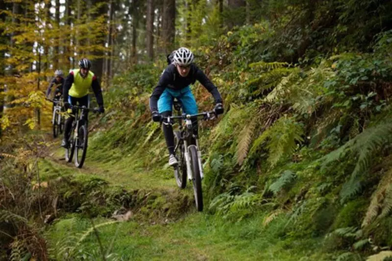 Hotelli Baren Titisee