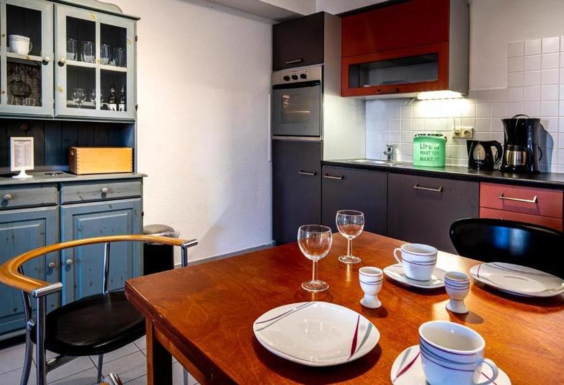 酒店 Birschelmuhle