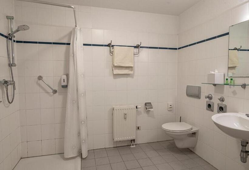 酒店 Birschelmuhle