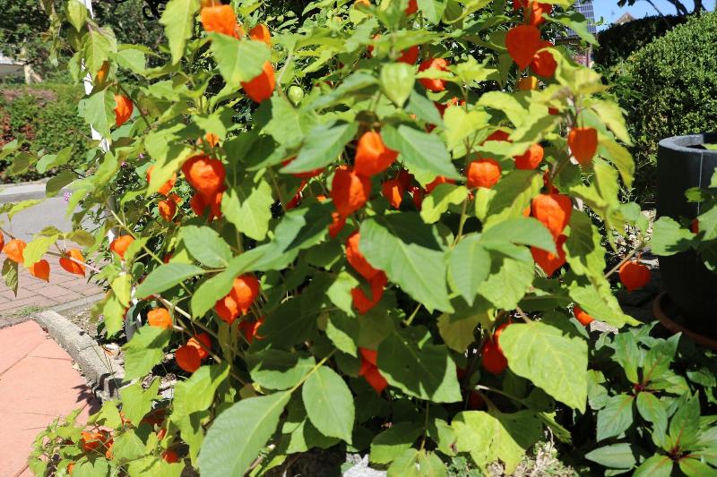 בית מלון כפרי Brigitte