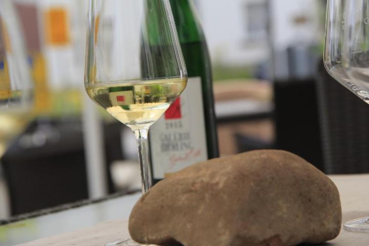 בית מלון כפרי Galerie Riesling