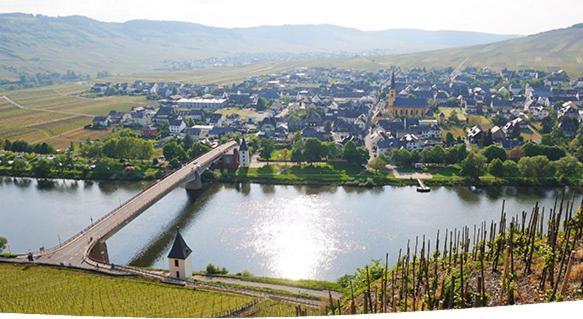 בית מלון כפרי Galerie Riesling