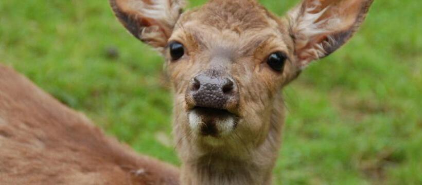 호텔 Gasthof Holländer Eck