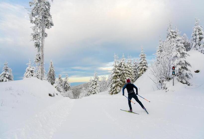 Отель Pension Klein