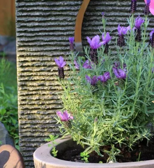 Hotelli Piepers Landidyll