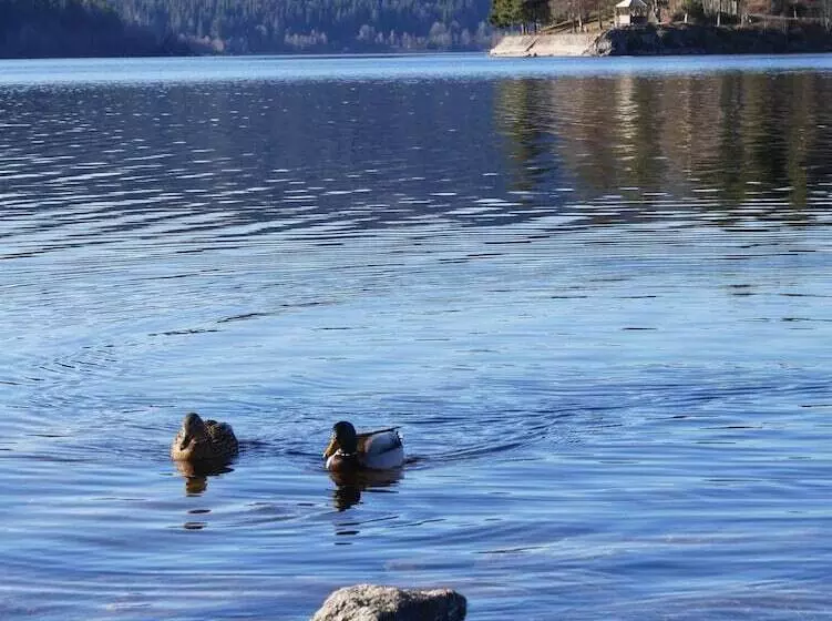 Wochner S Hotel Sternen Am Schluchsee Hochschwarzwald