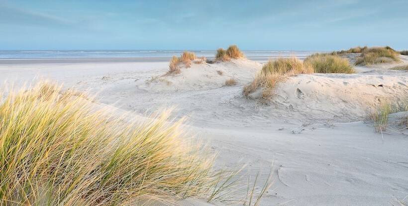 Fox Hotel The Hague Scheveningen