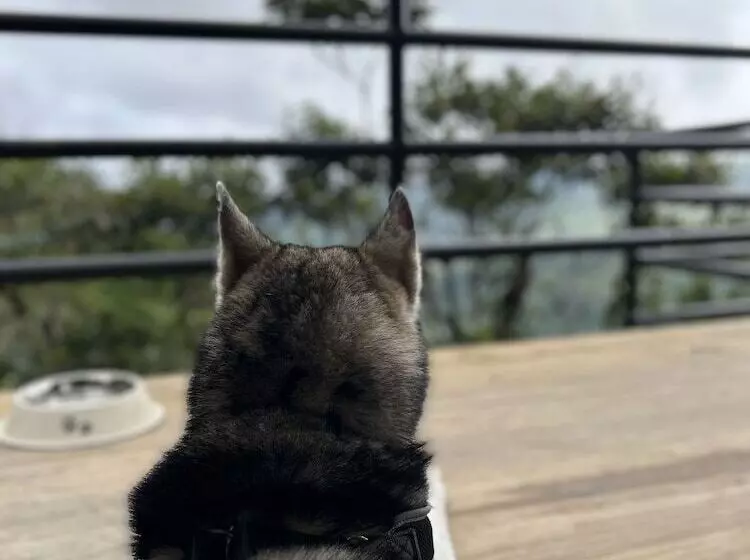 Nomada Republic Hotel El Valle