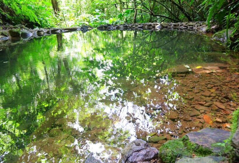 Nomada Republic Hotel El Valle