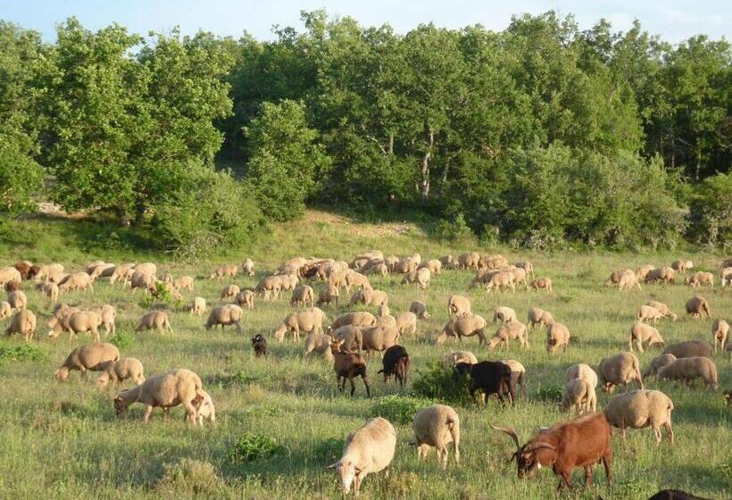 ベッドアンドブレックファースト Chambre Panda La Garonne