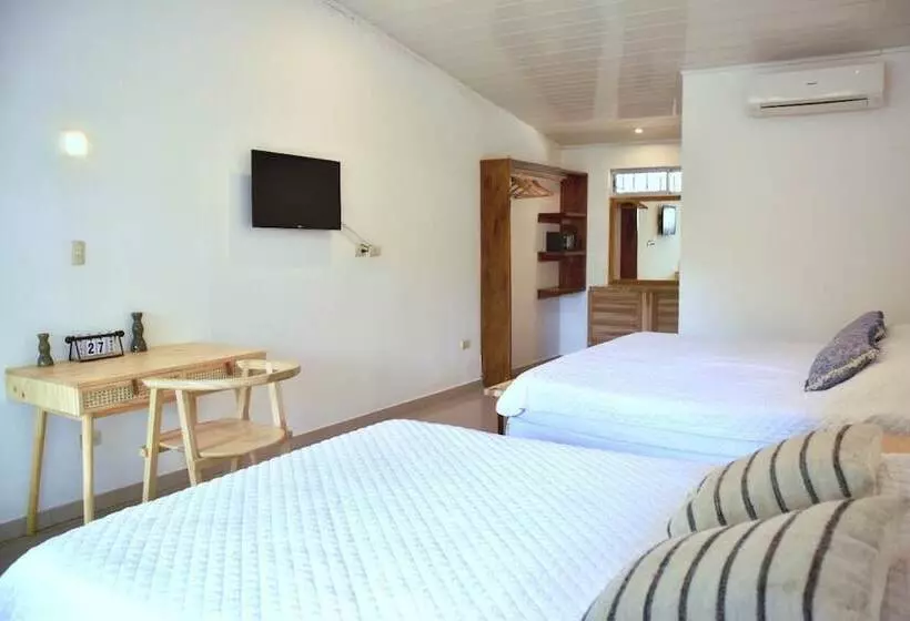 تختخواب و صبحانه Refugio Surf Lodge