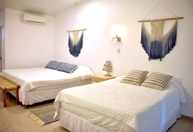 تختخواب و صبحانه Refugio Surf Lodge