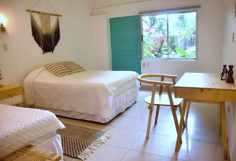 تختخواب و صبحانه Refugio Surf Lodge