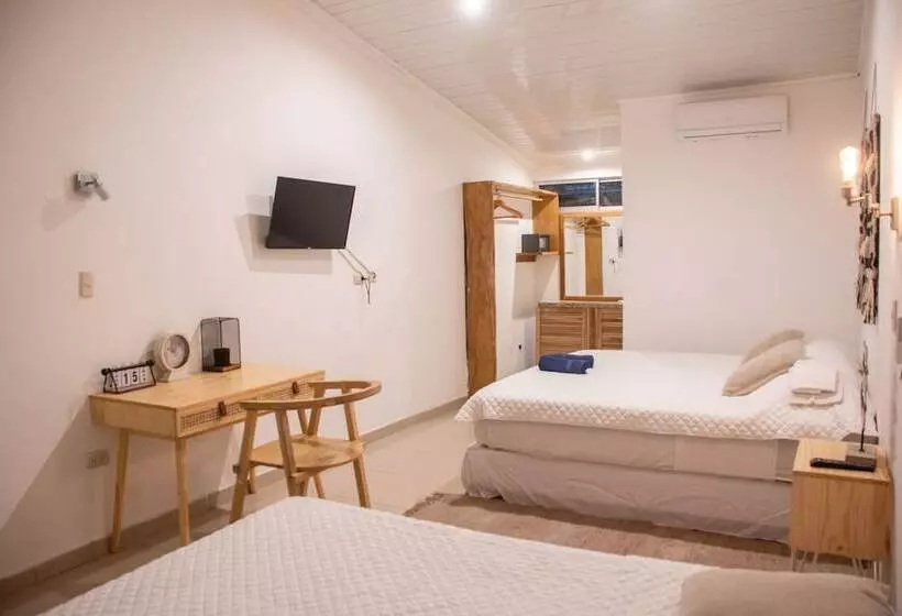 تختخواب و صبحانه Refugio Surf Lodge