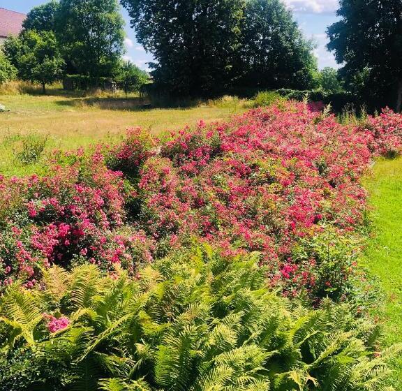 Panzió Zámeček Ostrov