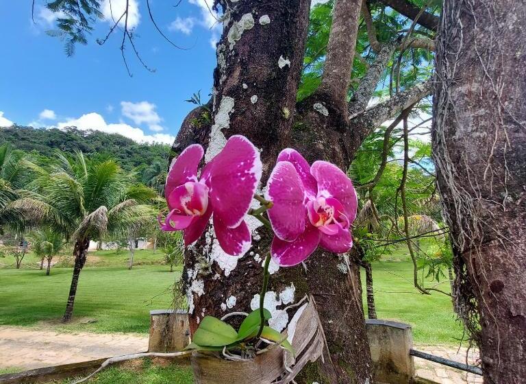 膳宿费 Eco Palmeira