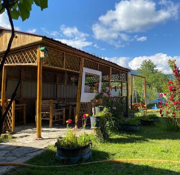 هاستل Green Tianeti