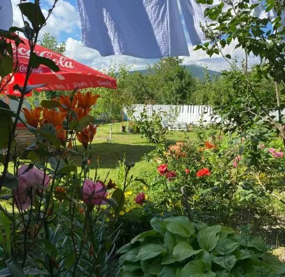 هاستل Green Tianeti