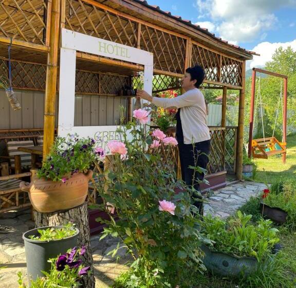 هاستل Green Tianeti