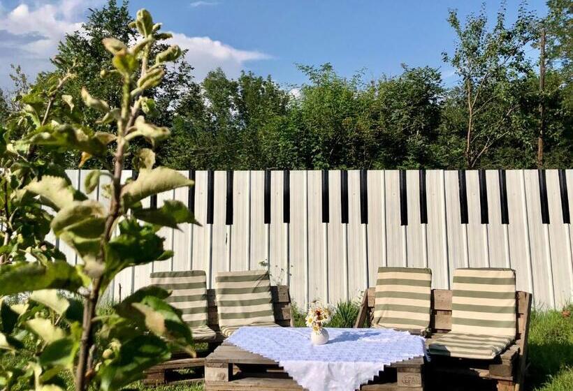 هاستل Green Tianeti