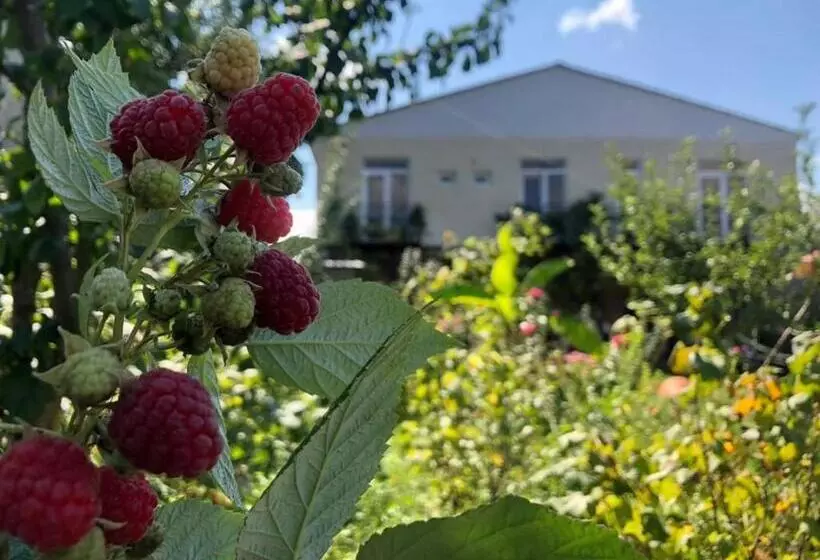 هاستل Green Tianeti