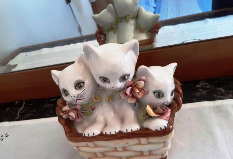 צימר City Overlook