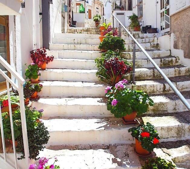 צימר City Overlook