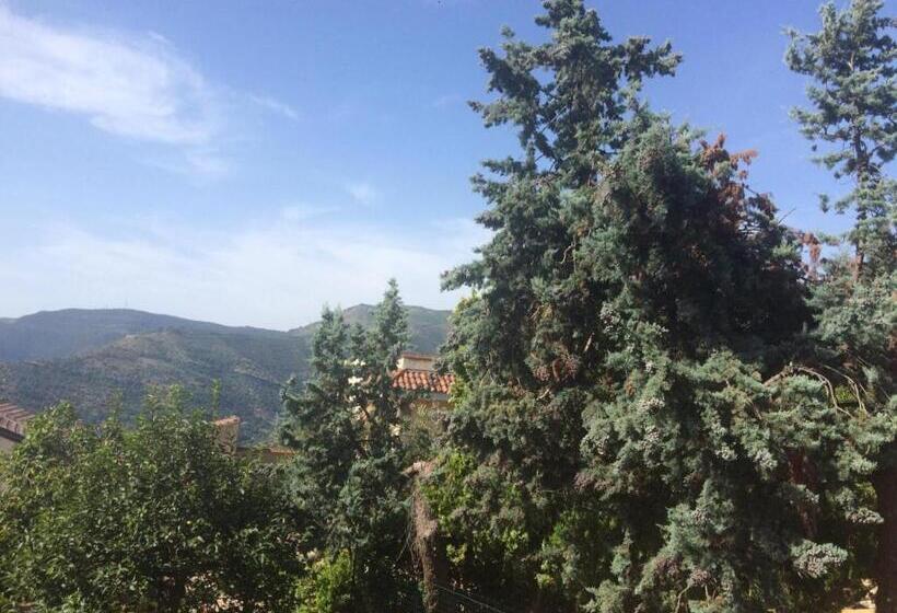 Aamiaismajoitus (B&B) Palazzo Pascale