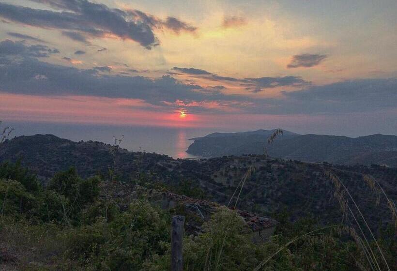 Aamiaismajoitus (B&B) Palazzo Pascale