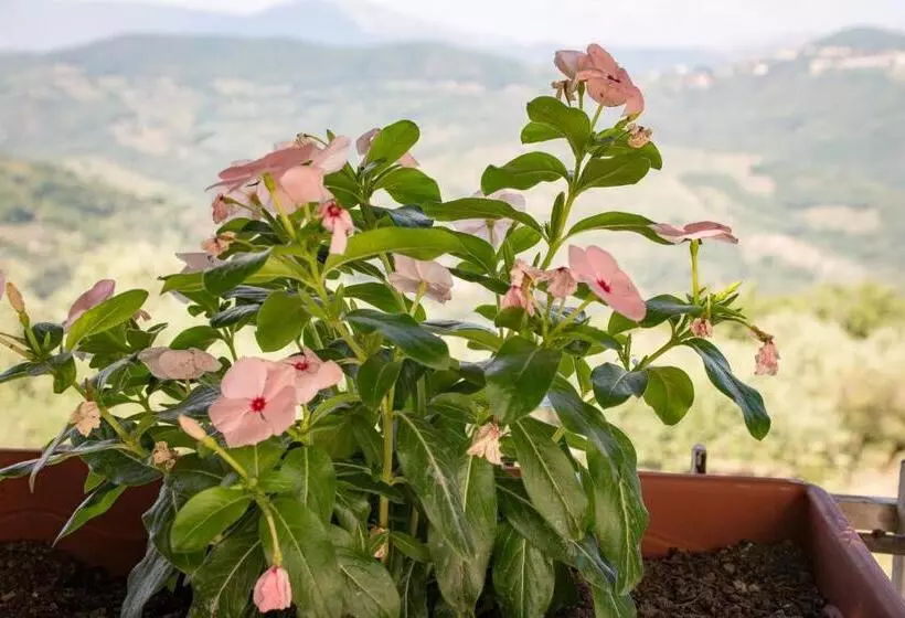 B&b Dolce Luna
