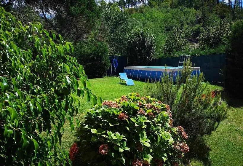 Aamiaismajoitus (B&B) Varavventura