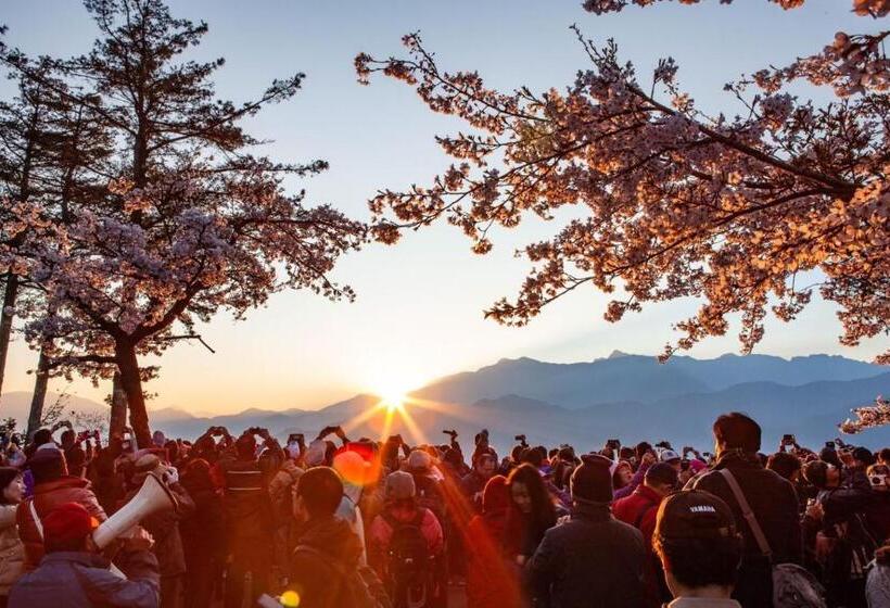 هتل Alishan Shermuh Tourist