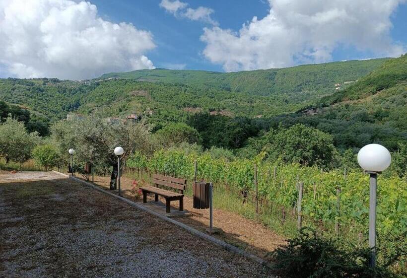 膳宿费 Affittacamere Aria