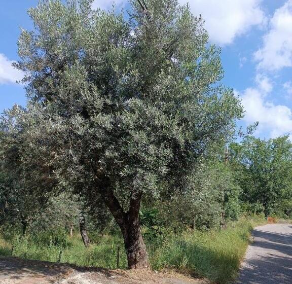 膳宿费 Affittacamere Aria