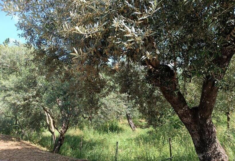 膳宿费 Affittacamere Aria