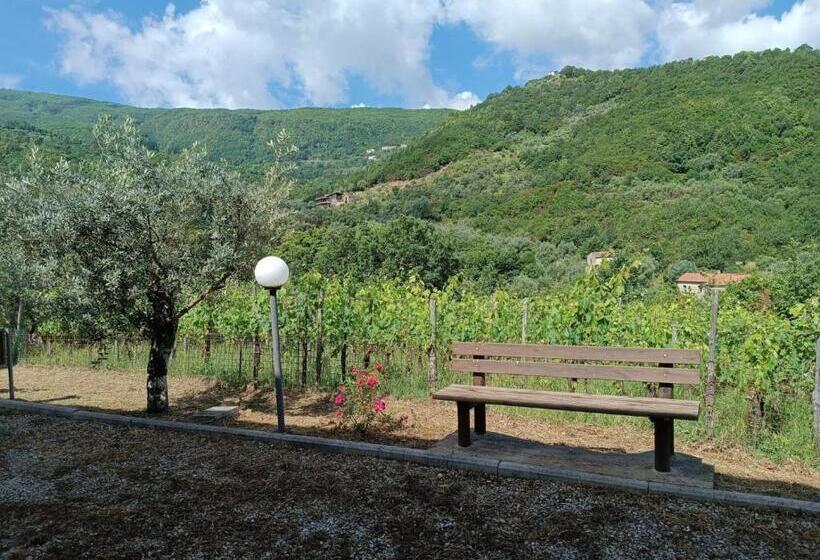 膳宿费 Affittacamere Aria