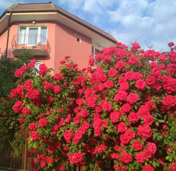 Пансион Amirov Garden   Free Parking & Free Beach Area