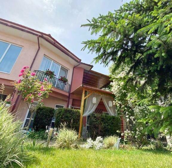 Пансион Casa Constantin Si Elena