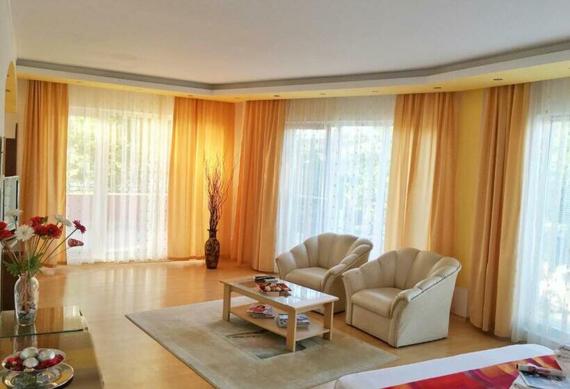 Пансион Casa Constantin Si Elena