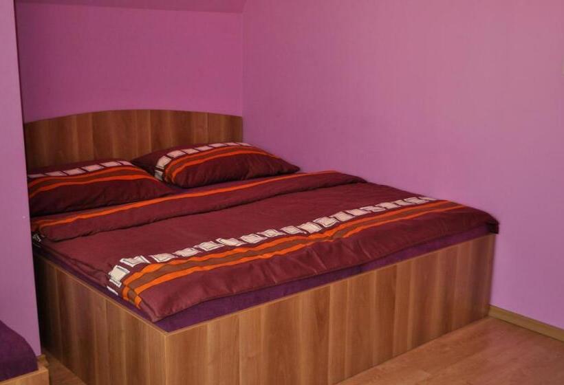 펜션 Penzion U Krejzů