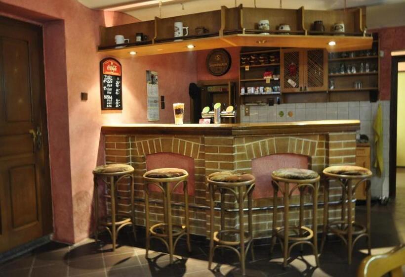 펜션 Penzion U Krejzů